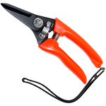 Sheep Feet Clippers Footrot Shears Goat Sheep Pig Hoof Trimmer Multipurpose Twig and Floral Trimming Shears for Garden with 2-inch Twin-Blade