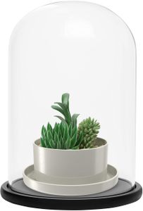 BELLE VOUS Glass Dome Cloche with Black Wooden Base, 30cm – Display Case for Fairy Lights, Centerpieces, Antiques