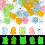 HEQU 50 Pcs Luminous Miniature Cat Mini Resin Cat Figures Cute Tiny Cat Figures Glow in The Dark Small Cat Mini Animals to Hide for DIY Cake, Garden, Potted Plant, Car Interior Decoration(5 Colors)