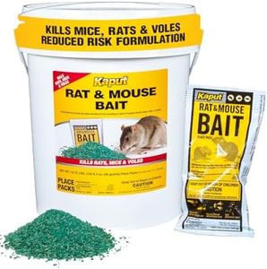 Kaput Rat 