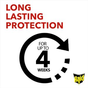 Raid Ant & Cockroach Killer Spray, Indoor Insect Control, 6 x 300ml