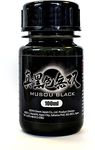 KOYO ORIENT JAPAN CO.,LTD. Musou Black Water-based Acrylic Paint - 100ml - Made in Japan - Blackest Black in the World 3.38 Fl Oz (Pack of 1)