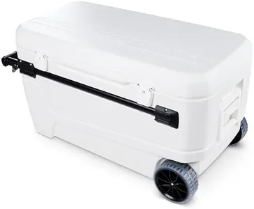 Igloo MaxC