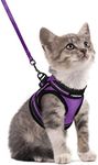 rabbitgoo Cat Harness and Leash Set