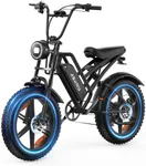RPINT E500 Electric Bike for Adults 1000W Peak Motor, 20" Fat Tire Electric Bicycles with 40 Miles PAS Range, 48V Removable Battery, 7 Speed E-Bike for Mountains, Sand, Road, Beach, Snow