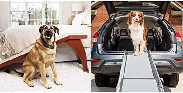 PetSafe Co