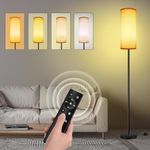 LANICHO Floor Lamp, 9W 1000LM Floor Lamp for Living Room, LED Lamp with Remote Stepless Dimmable, 1 Hour Timer, Eye Caring 67'' Tall Lamp Modern Standing Floor Lamp for Living Room Bedroom