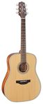Takamine GD20-NS Dreadnought Acoustic Guitar