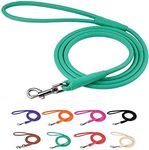 CollarDirect Rolled Leather Dog Leash 4ft, Soft Padded Training Leather Dog Lead 6ft, Puppy Leash Rolled Leather Small Medium Large Black Blue Red Orange Green Pink White (Mint Green, Size S 6ft)