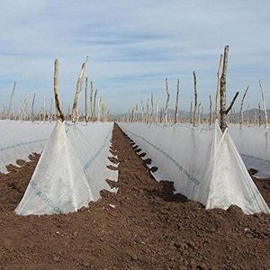 Agribon AG