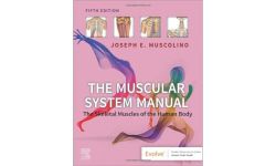 The Muscular System Manual: The Skeletal Muscles of the Human Body