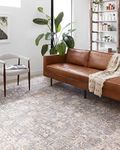 Loloi ll Skye Collection Printed Distressed Vintage Area Rug, 5'-0" x 7'-6", Grey/Apricot