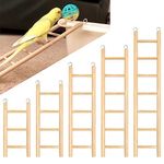 Ladder For Bird Cage