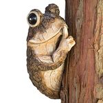 Bits and Pieces - Keep Quiet Frog Tree Peeker - Durable Polyresin Animal Tree-Hugger Sculpture - Lawn and Garden Outdoor Décor Statue