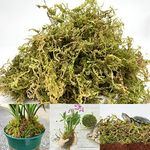 Natural Sphagnum Moss, 5 Quarts Dried Moss for Potted Plants, Indoor Ideal Moist Repotting Sphagnum, Terrarium Decor, Orchid Soil Medium, Reptile Snails Tortoise Snake Substrate Habitat Decoration