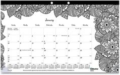 Blueline 2024 DoodlePlan Monthly Co