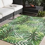 DECOMALL Outdoor Rugs for Patio Deck Porch Balcony Backyard, Tropical Plants Palm Leaf, 5'x7'