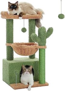 PAWZ Road Cactus Cat Tree for Indoor Cats with Super Large Condo, Cat Tower with Scratching Post, Large Hammock, Dangling Ball and Top Perch, 79cm Green