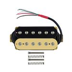 Electric Guitar Pickups