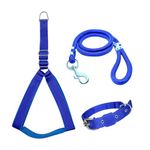 WildSmith Dog Harness, Dogs Accessories, Harness for Small Dogs, Control Handle, Dog Belt Outdoor,Dog Vest Harness,Dog Collar & Leash Set (Blue, S, Suitable for 2-7kg)