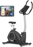 Lifespan Fitness EXER-80 Exercise Bike, Black