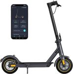 Electric Scooter 10" Solid Tires 60