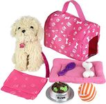 Click N' Play Toy Puppy Set for Kid