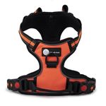 Tails with Souls No Pull Mesh Padded Dog Vest Harness | 3M Pure Nylon Reflective Chest Harness with Adjustable Snap Buckle | Dog Vest for Small Dogs - Neon Orange