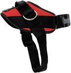 ShawnCo Essential Dog Harness, No-P