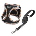 DORAMIO Step-in Dog Harness and Leash Set, Soft Mesh No-Chock Reflective Breathable Easy Walk Lightweight Vest Harnesses with Safety Buckle for Small Medium Dogs, Cats, Puppies (Black Yellow, XS)