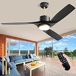 Modern Black Ceiling Fan with Light