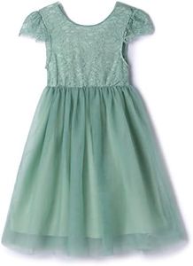 Niyage Toddler Girls Tulle Princess Party Dress Baby Elegant V-Back Lace Flower Girl Dresses, Maxi-sage Green, 6-7 Years