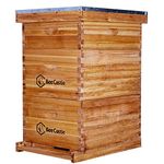 BeeCastle 10 Frame Langstroth Bee Hive Coated with 100% Beeswax Includes Beehive Frames and Waxed Foundations (2 Deep Boxes & 1 Medium Box)