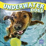 Underwater Dogs September 2022-December 2023 Calendar