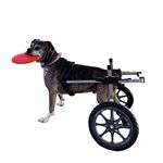 K9 Carts Dog Wheelchair - (Large, 50-80 lbs) - Made in the USA