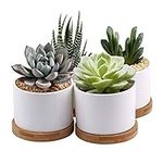 4 Pack White Succulent Plant Pots, 