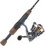 Pflueger President Spinning Reel an