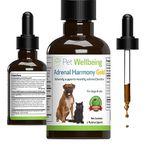 Adrenal Support For Dogs Cushing