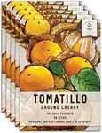 Seed Needs, Ground Cherry Tomatillo Seeds - 50 Heirloom Seeds for Planting Physalis pruinosa - Non-GMO & Untreated Edible Cape Gooseberry/Golden Berries (5 Packs)