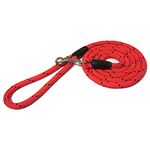 Rosewood Rope Twist Lead, Red