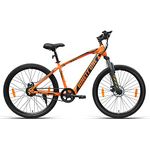 Ebay Electric Bicycle