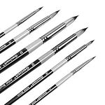 Round Pointed Tip Paint Brushes Set, 6 Pcs Artist Paintbrushes for Acrylic Oil Watercolor Gouache Painting, Premium Nylon Hair Art Paint Brush for Beginners and Professionals