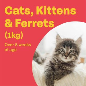 Bob Martin Flea Treatment for Cats – Fast-Acting Pest Control