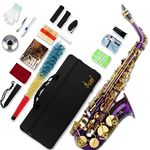 SLADE Saxophone Eb Alto Saxophone for Beginner Students, Saxaphone Adult, Saxophone Alto, Beginner Saxophone, Alto Saxaphone, Saxofon Alto, Saxophone, Purple