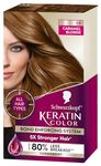 Caramel Blonde Hair Dye