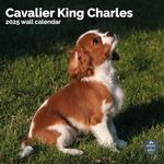 Baker and Bray Cavalier King Charles Spaniel Calendar 2025, Large Square Wall Calendar, 16 Month, Cavalier King Charles Spaniel Gift Dog Calendar.