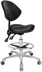 Kaleurrier Ergonomic Rolling Swivel Saddle Stool with Wheels,Pneumatic Lifting Height Adjustable Drafting Chair for Clinic Hair Salon Massage Lab Home Office (Black,with Back Rest & Footrest)