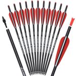 ELONG OUTDOOR Carbon Crossbow Bolts 16 Inch Hunting Archery Arrows with 4" Vanes Replaced Arrowhead Tip (Pack of 12)