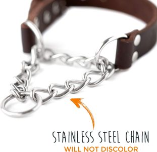 Mighty Paw Leather Martingale Dog Collar – Stainless Steel Chain, Safe Training