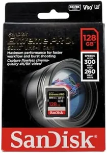 SanDisk 12